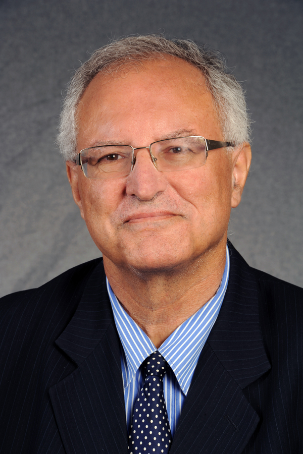 Mohammed Dajani Daoudi